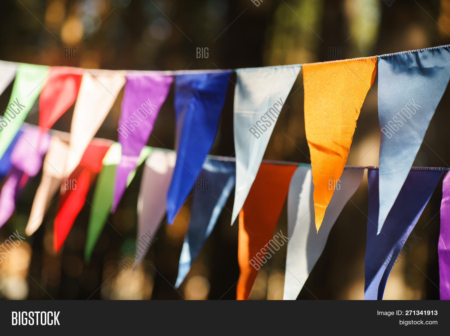 Carnival Garland Flags Image & Photo (Free Trial) Bigstock