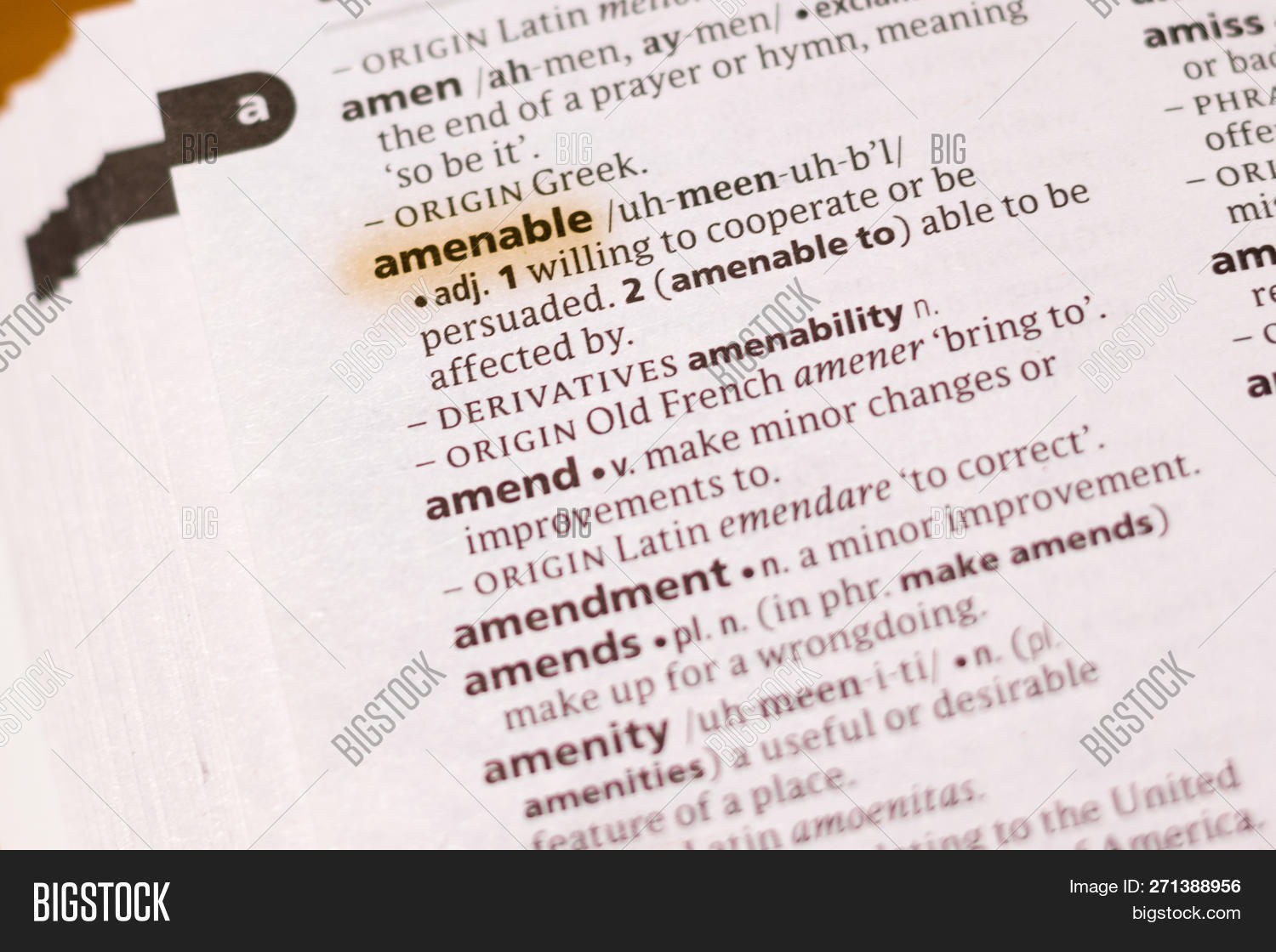 Word Phrase Amenable Image & Photo (Free Trial) Bigstock