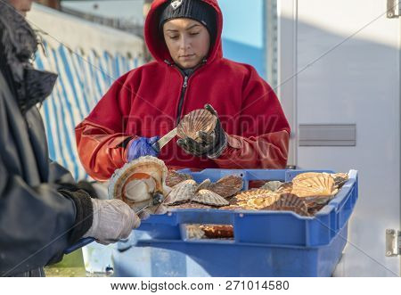 Dieppe, France - November 17, 2018: Women Open And Clean Scallops For Sale At The Fair Of Herring An
