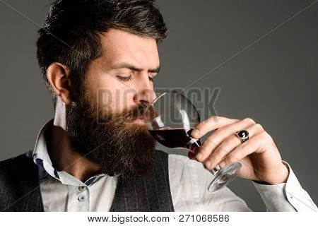 Berded Man Tasting Glass Of Wine. Winetasting And Degustation Concept. New Year Party. Serious Man D