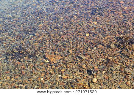 Many Small Golden Rocks Under Clear Water.