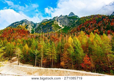 Colorful Forest Below Jof Di Montasio In Autumn, Julian Alps, Val Dogna, Friuli Venezia Giulia, Ital