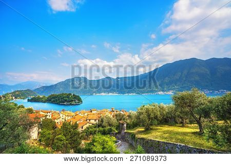 Como Lake, Isola Comacina Village, Greenway Trail And Olive Trees. Italy, Europe.