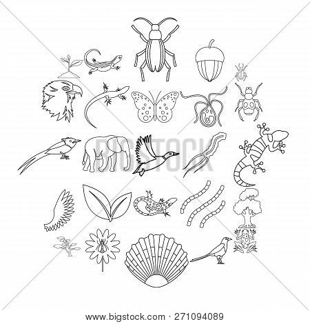 Avifauna Icons Set. Outline Set Of 25 Avifauna Icons For Web Isolated On White Background