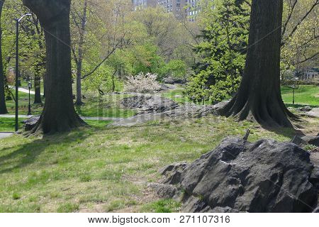 Bedrock Of Manhattan At New York Central Park
