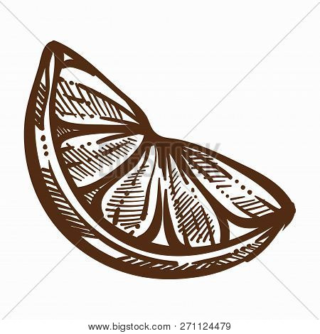 Oragne Fruit Slice Lush Organic Product Monochrome Sketch Outline