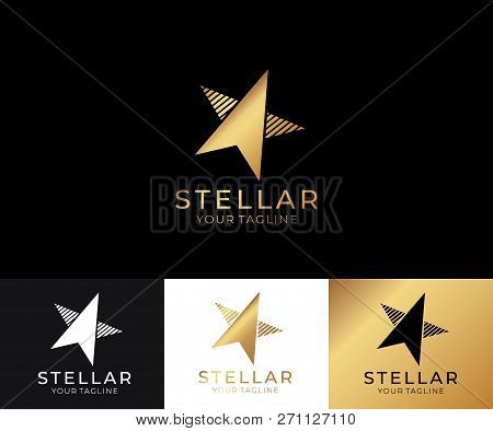 Star Logo Vector. Universal Abstract Logo With A Star Symbol For Any Business. Star Sign - A Leader,