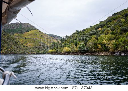 Boat View Of Canyon, Valley And Vineyards Along River Sil.