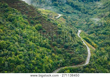 View Of Asphalt Road, Forest And Vineyards Along River Sil. Curvy, Asphalt Road Leading Through Fore