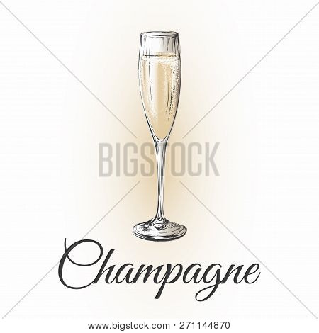 Champagne Glass Hand Drawing Vector Illustration Bubbles. Alcoholic Drink.