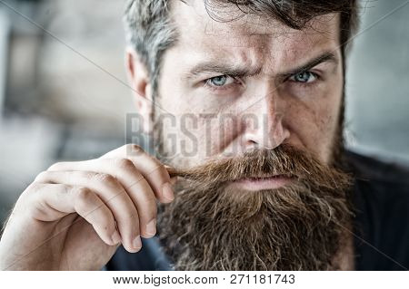 Grooming And Barber Shop Concept. Masculinity And Brutality. Male Beauty. Macho Brutal Bearded Hipst