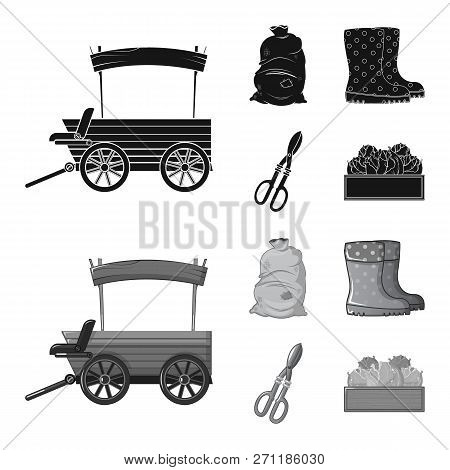 Vector Illustration Of Farm And Agriculture Icon. Collection Of Farm And Plant Vector Icon For Stock