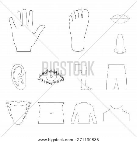 Vector Design Of Human And Part Logo. Set Of Human And Woman Stock Symbol For Web.