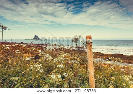 Seascape, Sea Coast With Sandy Beach And Island Bleiksoya In The Distance, Resort Bleik Andoya Norwa