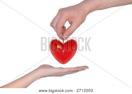 Di mano e il cuore