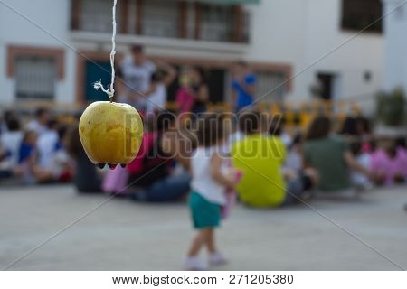 Apple Hanging By A Thread Waiting To Be Bitten Gymkhana Game