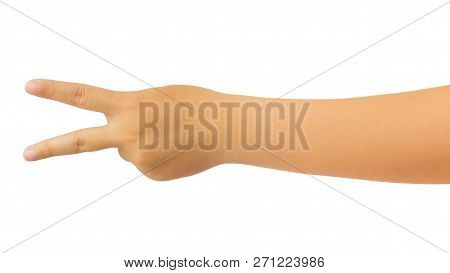 Human Hand Isolate On White Background