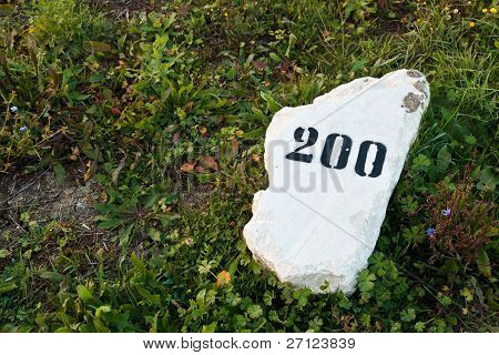 Mile Stone In The Grass