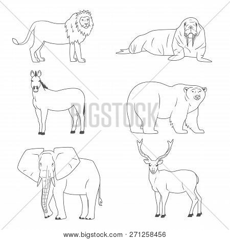 Animals Set, Wild Predators And Herbivores. Bear, Deer, Elephant, Horse, Lion, Walrus. Isolated Illu