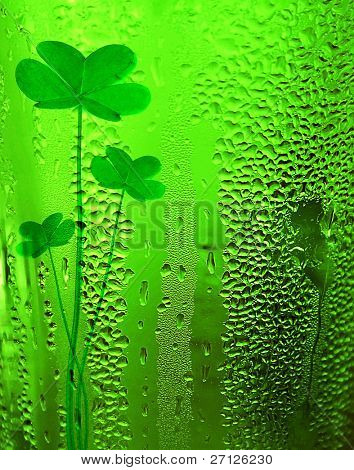 Zelený jetel pivo pozadí st.Patrick je den svátek oslav, štěstí conce