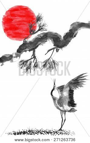 The Red  Sun And The Branch Of Chinese Pine. Japanese Cranes Bird Drawing .  Watercolor And Ink Illu
