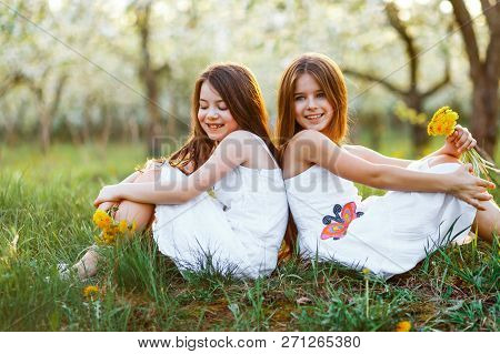 Beautiful Young Girls In White Dresses In The Garden With Apple Trees Blosoming At The Sunset. Two F