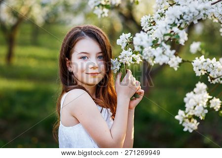 Portrait Of A Beautiful Young Girl With Blue Eyes In White Dress In The Garden With Apple Trees Blos