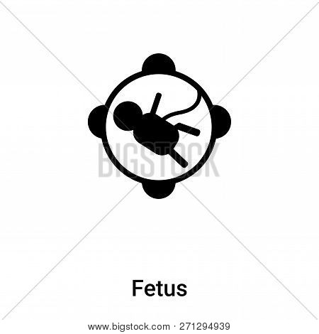 Fetus Icon In Trendy Design Style. Fetus Icon Isolated On White Background. Fetus Vector Icon Simple