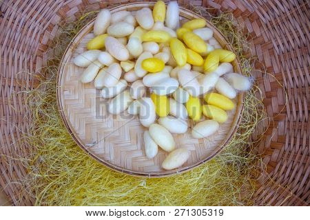 The High Angle View Of The Cocoon Is Displayed In A Basket With Gold Thread.