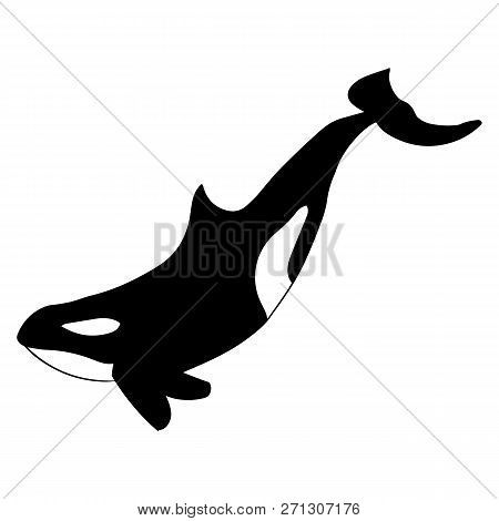Orca Whale Silhouette. Vector Black And White Illustration