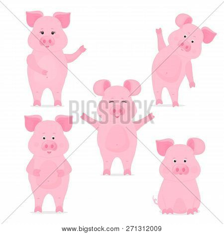 A Set Of Cute Piggy Characters In Different Poses, Sitting, Standing, Hand Up And Down. Funny Pig. C