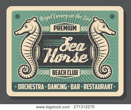 Beach Club Sea Horse Animal Retro Vector Poster. Underwater Creature On Cafe Or Bar Vintage Design O