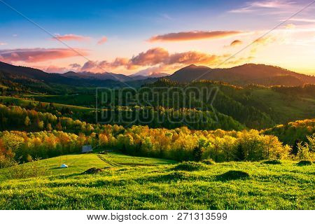 Green Wonderland At Purple Sunset. Amazing Countryside Landscape In Mountains Under The Gorgeous Sky
