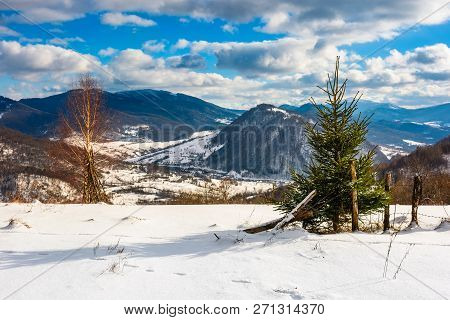 Small Spruce Tree Near The Wooden Fence On The Edge Of A Snowy Slope. Beautiful Winter Landscape On 