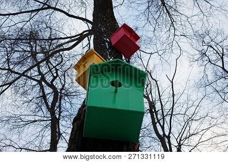 Colored Birdhouses.colorful Bird Houses On A Tree Trunk In The Forest