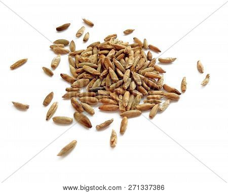 Natural Raw Rye Grains Isolated On White Background. Close Up Photography