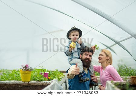 Dieting. Dietingand Healthy Food. Dieting With Organig Eating. Dieting Concept. Family With Potted P