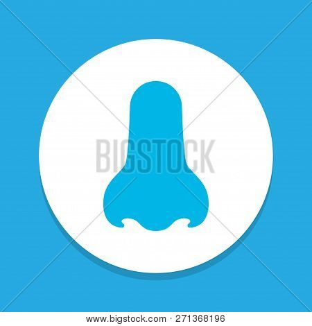 Nose Icon Colored Symbol. Premium Quality Isolated Smell Element In Trendy Style.