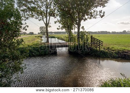 Typical Dutch Polder Landscape With A Ditch Along The Meadow. A Farm With Barns And Stables Is Visib
