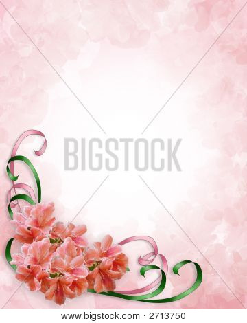 Angolo Floral Design azalee