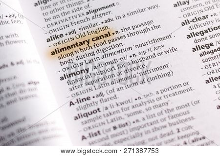 The Word Or Phrase Alimentary Canal In A Dictionary Highlighted With Marker.