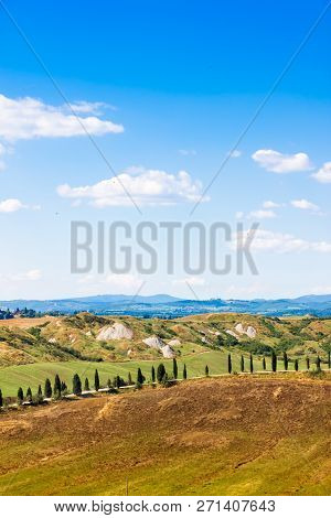 Road And Cypresses On A Hill Near Asciano In Crete Senesi, Tuscany, Italy