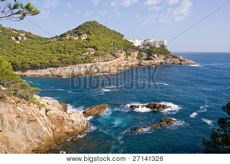 bella bearti selvaggio della Costa Brava, Spagna