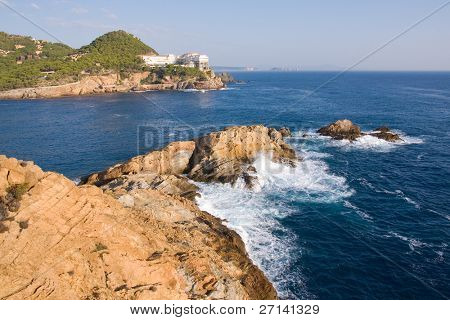 bella bearti selvaggio della Costa Brava, Spagna