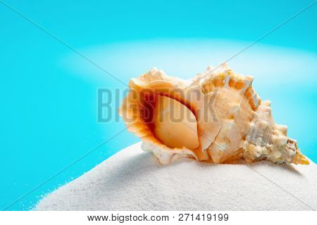 Conch Shell On White Sand On A Blue Background