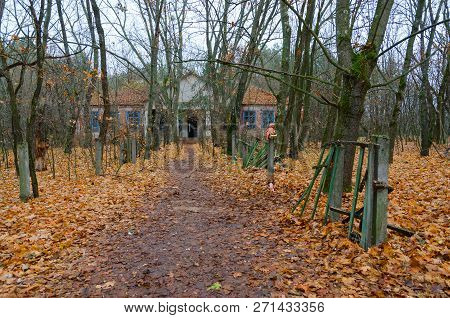 Building Of Abandoned Kindergarten In Destroyed Village Of Kopachi (10-km Chernobyl Npp Alienation Z
