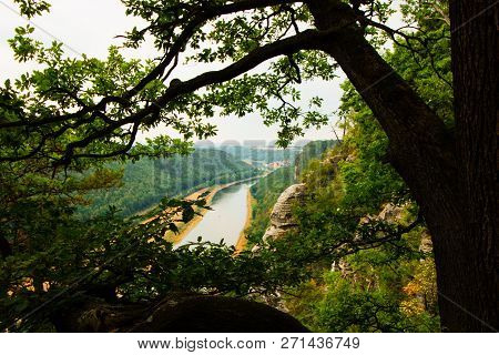 View From Old Bastei Bridge Down On River Elbe In Saxony,germany