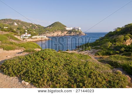 bella bearti selvaggio della Costa Brava, Spagna