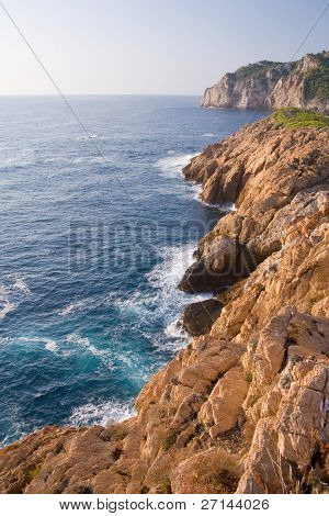 bella bearti selvaggio della Costa Brava, Spagna