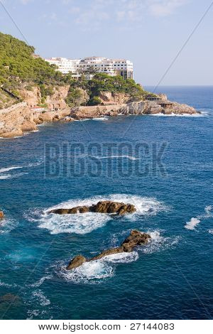 bella bearti selvaggio della Costa Brava, Spagna